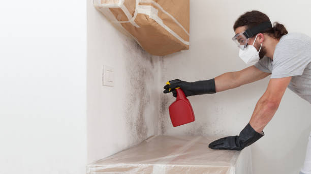 Professional Crawl Space Mold Removal technician working in Three Oaks, FL